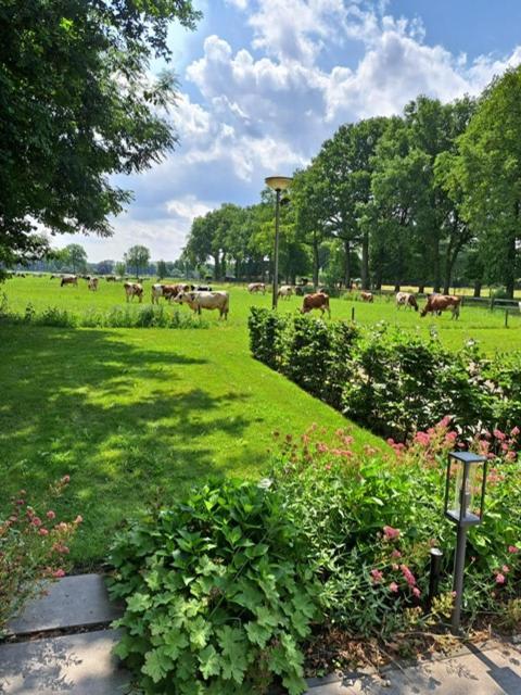 Het Broekeroord Bed & Breakfast Wezep Eksteriør bilde